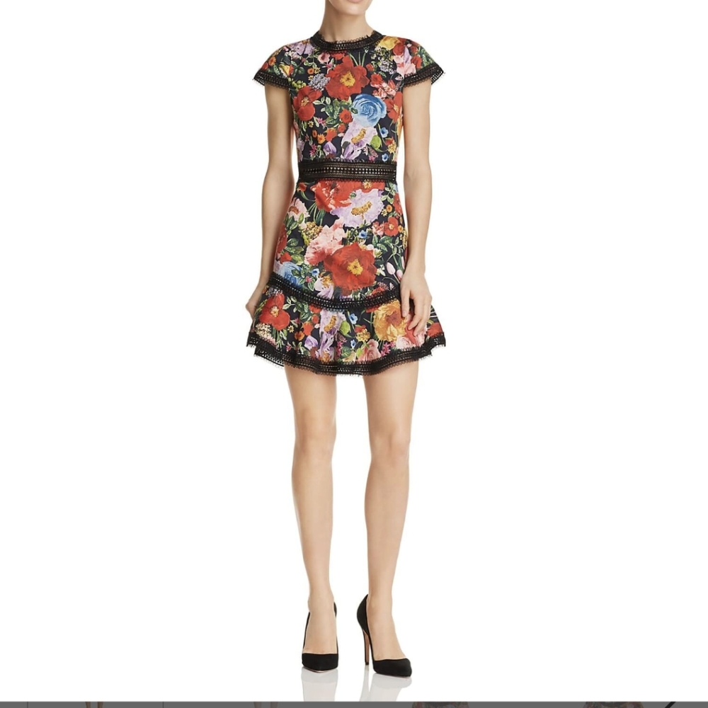 Alice + Olivia Rapunzel Lace-Trim Floral Print Dress, Size 4
